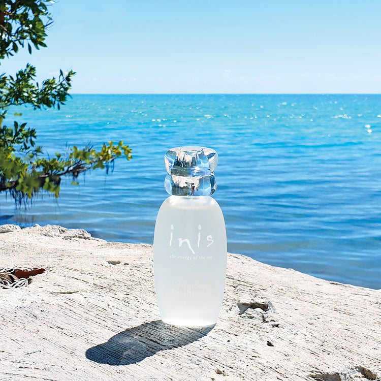 inis parfum onlineshop deustch